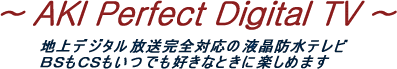 `AKI Perfect Digital TV`nfW^SΉ̉ther@BSCSłDȂƂɊy߂܂